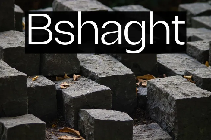 Borscha Light Example 2