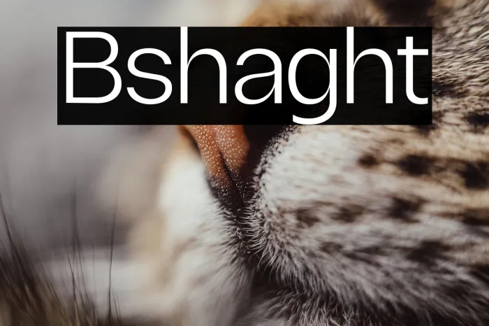 Borscha Light Example 3