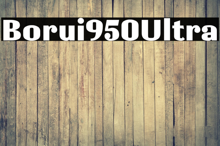 Borui950Ultra Example 1