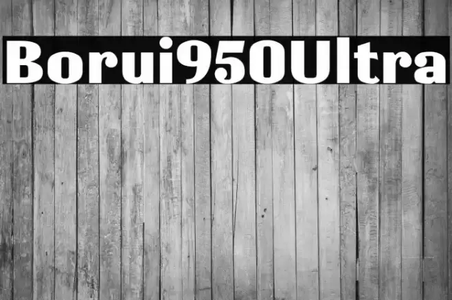 Borui950Ultra Font examples