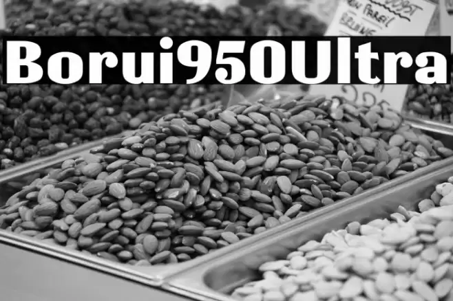 Borui950Ultra Font examples