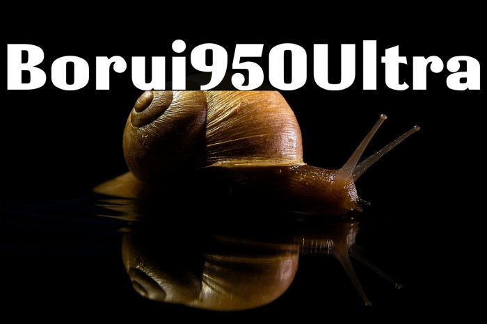 Borui950Ultra Example 3