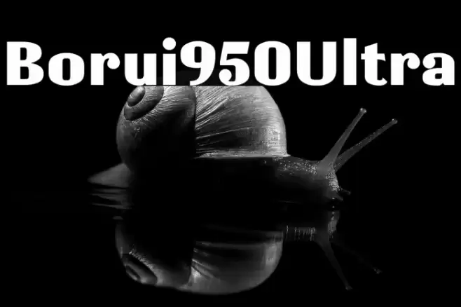 Borui950Ultra Font examples