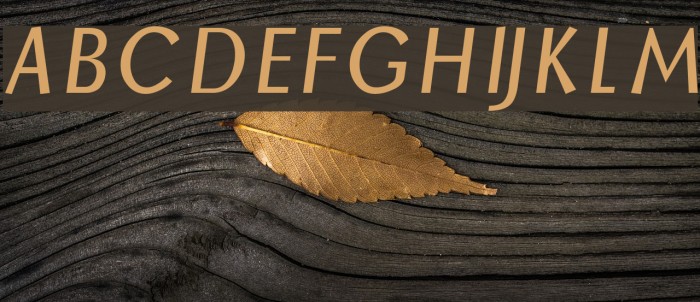 Borzoi BoldItalic Example 2