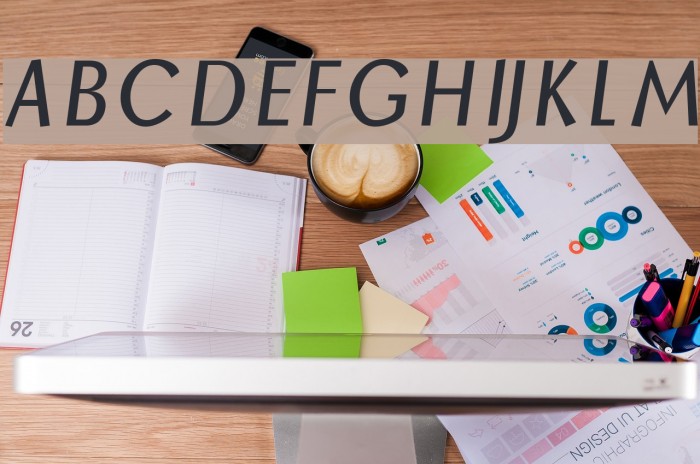 Borzoi BoldItalic Example 3