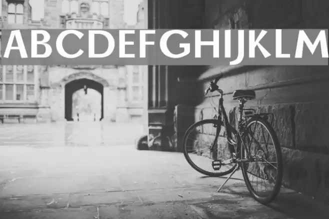 Borzoi Bold Font examples