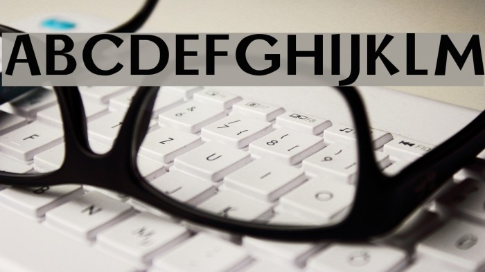 Borzoi Bold Example 3