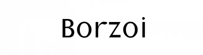 Borzoi  Free Fonts Download