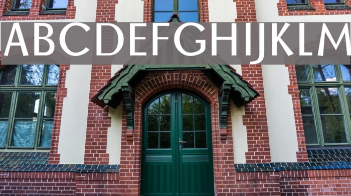 BorzoiRegular Example 1