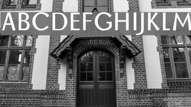 BorzoiRegular Font examples