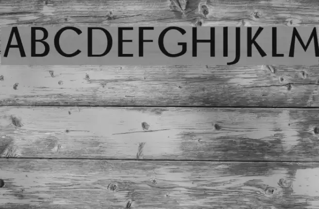 Borzoi Font examples