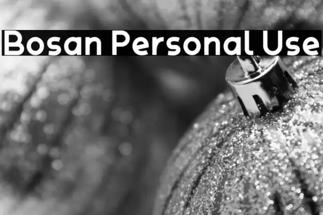 Bosan Personal Use Font examples