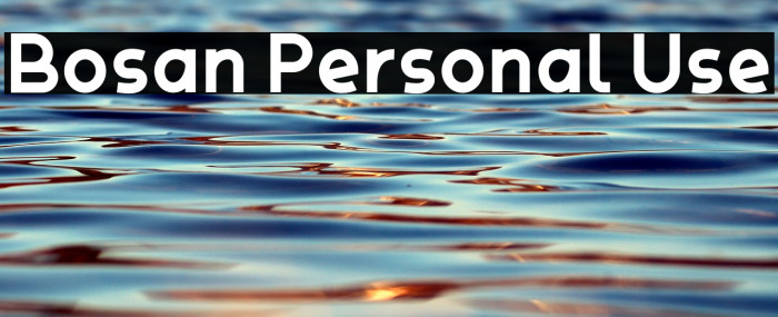 Bosan Personal Use Example 2