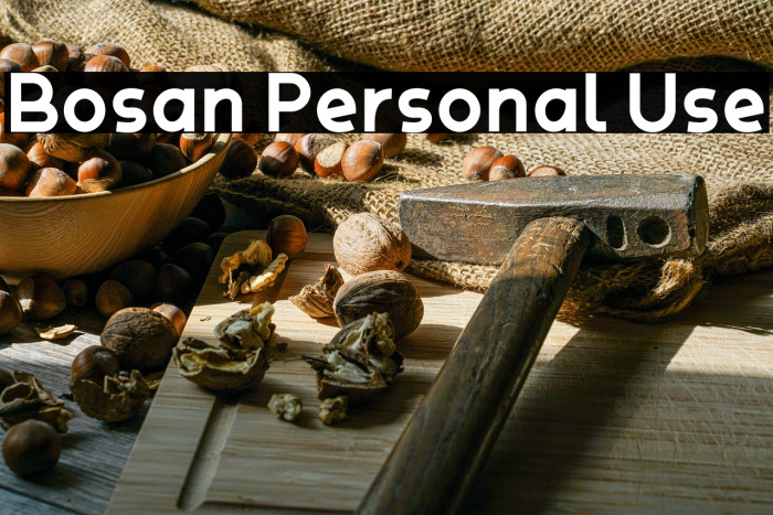 Bosan Personal Use Example 3