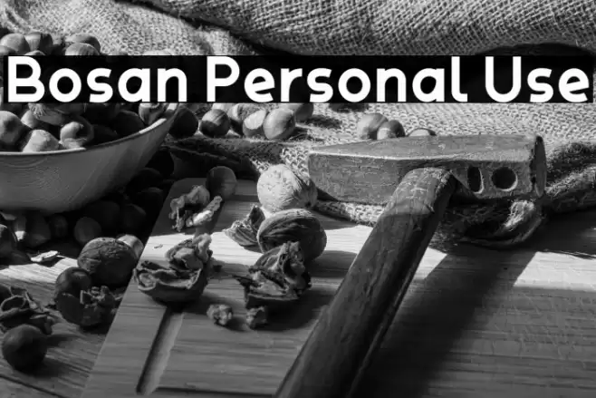 Bosan Personal Use Font examples