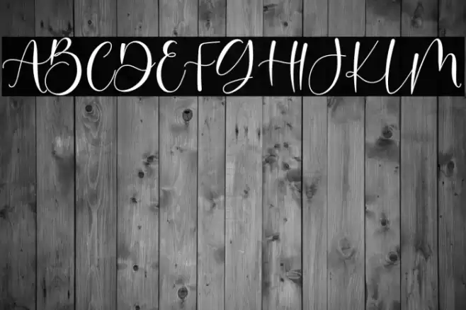 Boshela Font examples