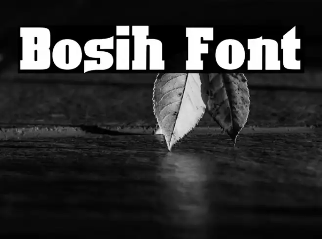 Bosih Example 2