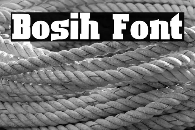 Bosih Example 3