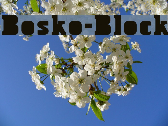 Bosko-Block Example 3