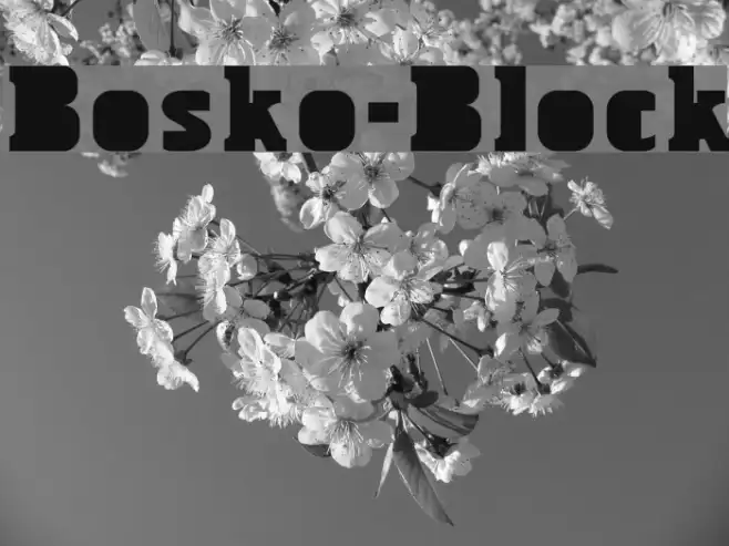 Bosko-Block Example 3