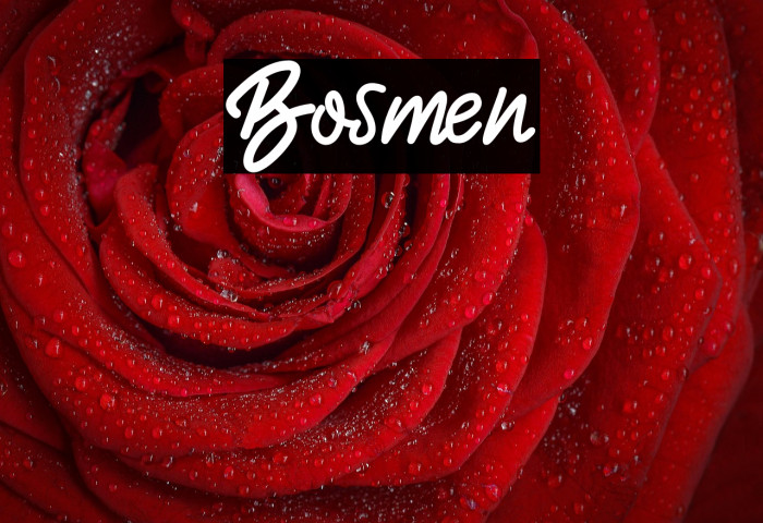 Bosmen Example 1
