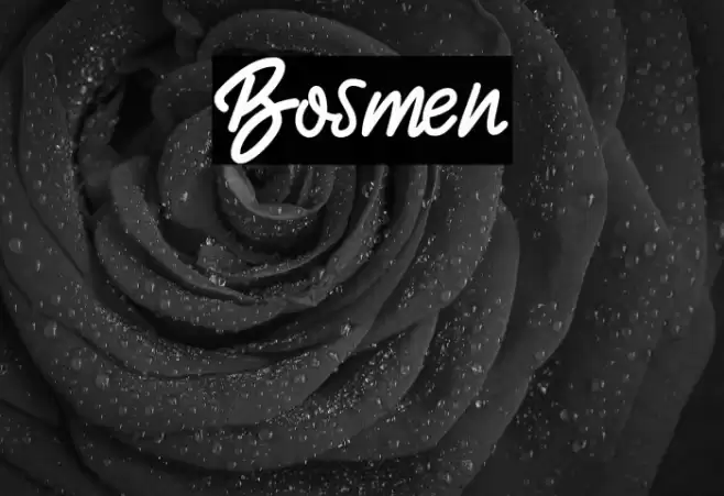 Bosmen Font examples