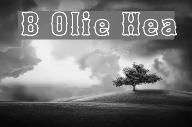 Bosox Outline Heavy Fuentes examples