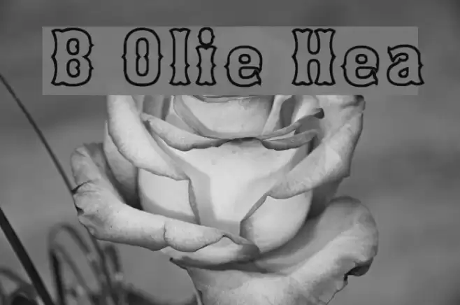 Bosox Outline Heavy Fuentes examples