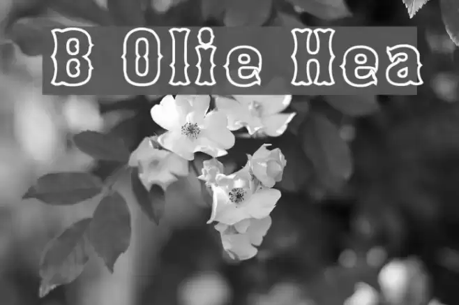 Bosox Outline Heavy Fuentes examples