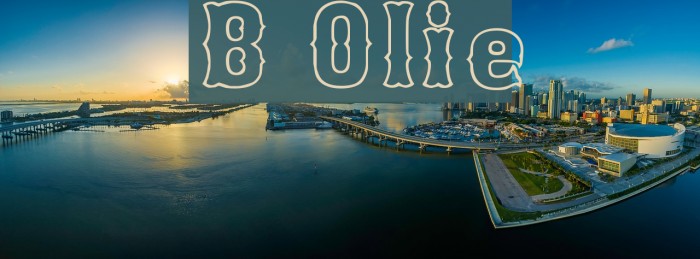 Bosox Outline Font examples