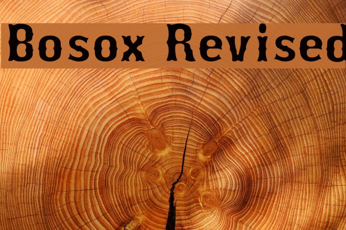 Bosox Revised Font examples