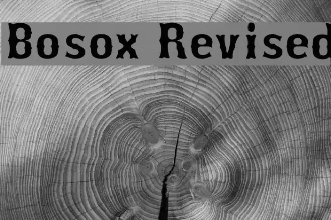 Bosox Revised Example 3