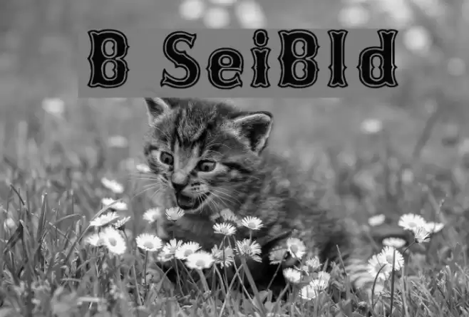 Bosox SemiBold フォント examples