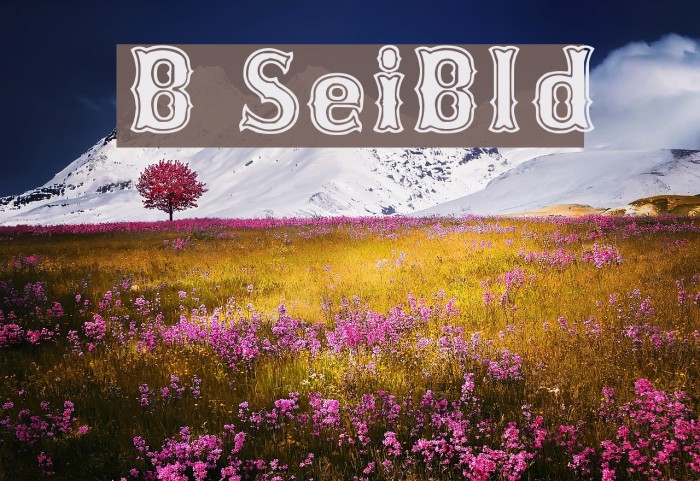 Bosox SemiBold Font examples