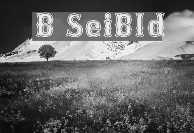 Bosox SemiBold フォント examples