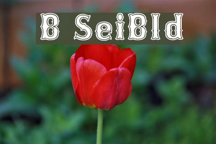 Bosox SemiBold Font examples