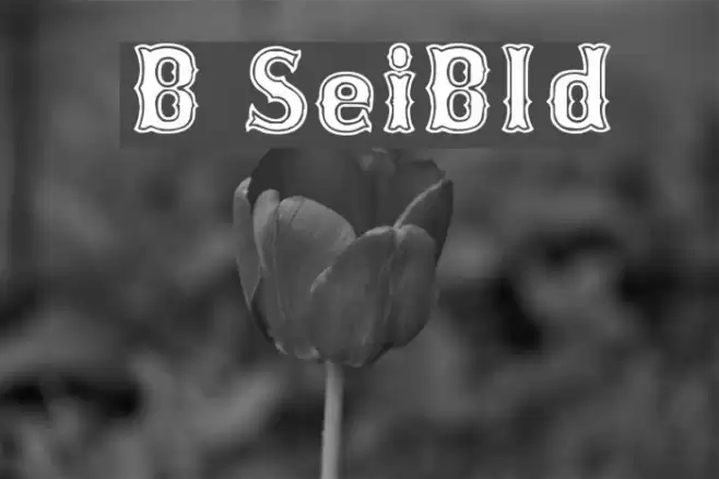 Bosox SemiBold フォント examples