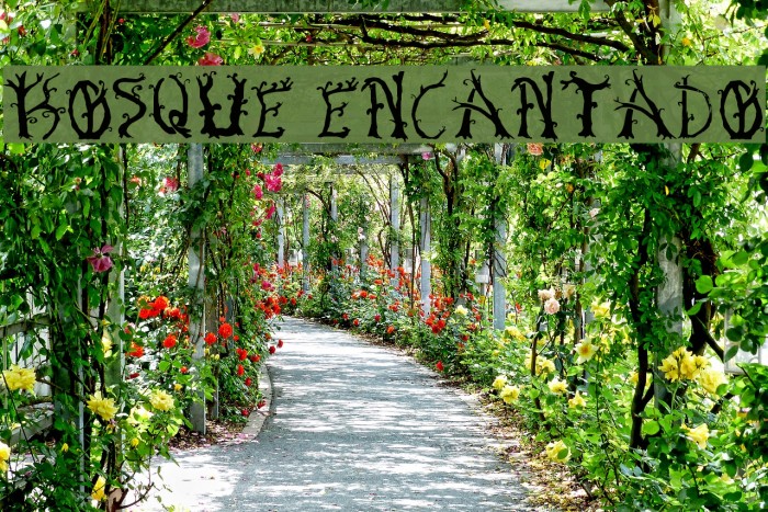 Bosque Encantado Font examples