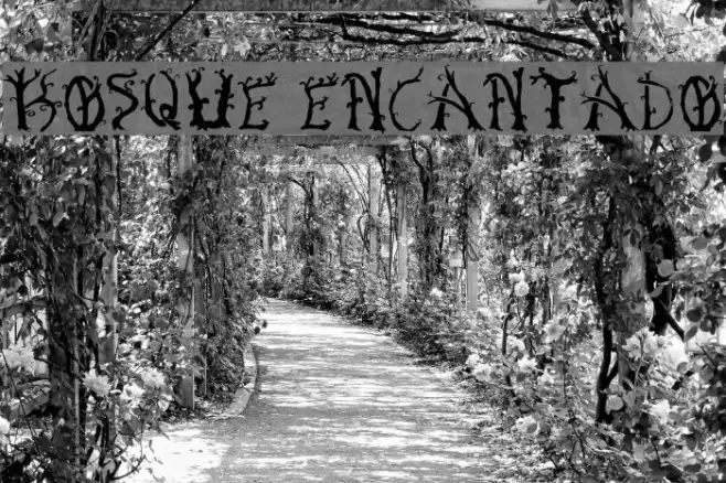 Bosque Encantado Example 3