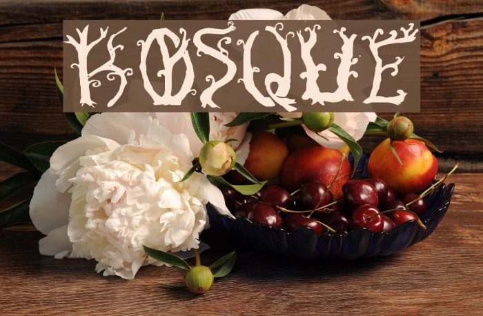 Bosque Font examples