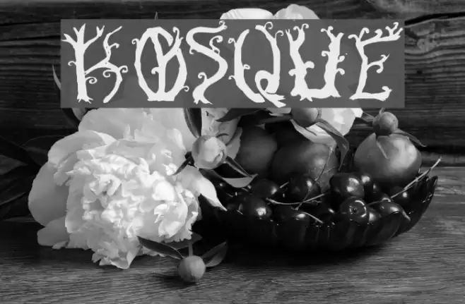 Bosque Font examples