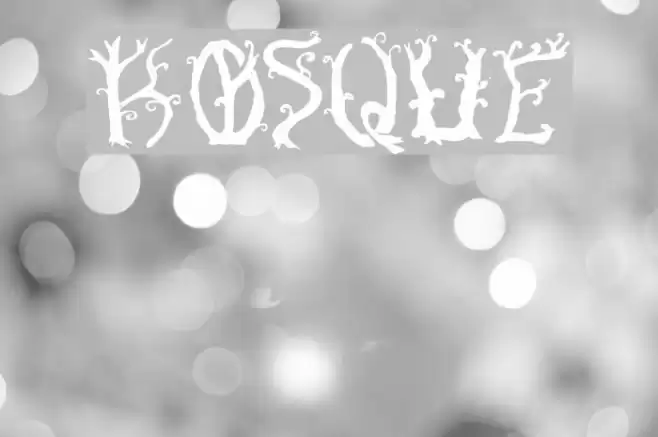 Bosque Font examples