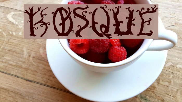 Bosque Font examples