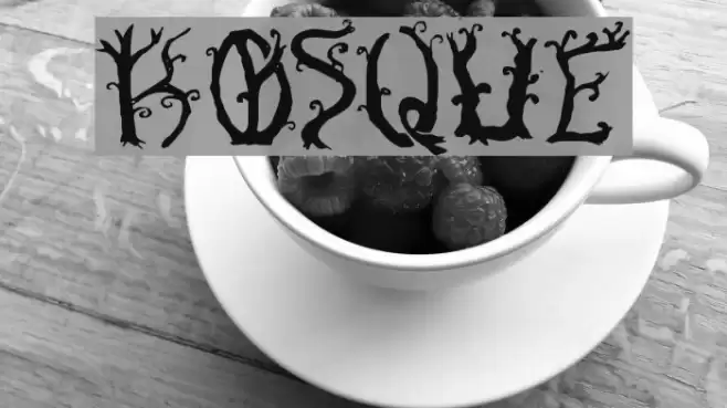 Bosque Font examples