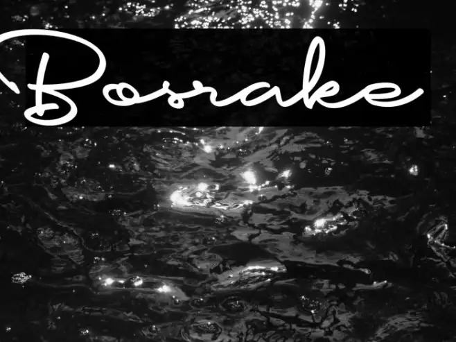 Bosrake Example 1