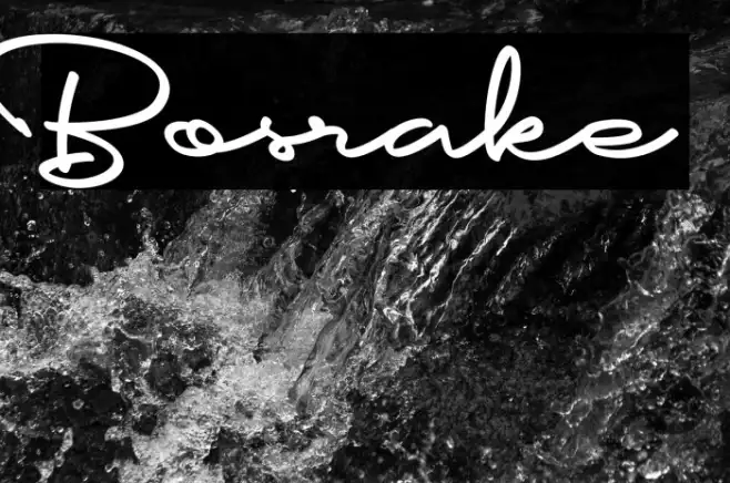 Bosrake Example 2