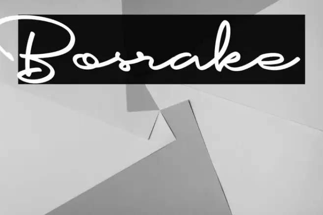 Bosrake Example 3