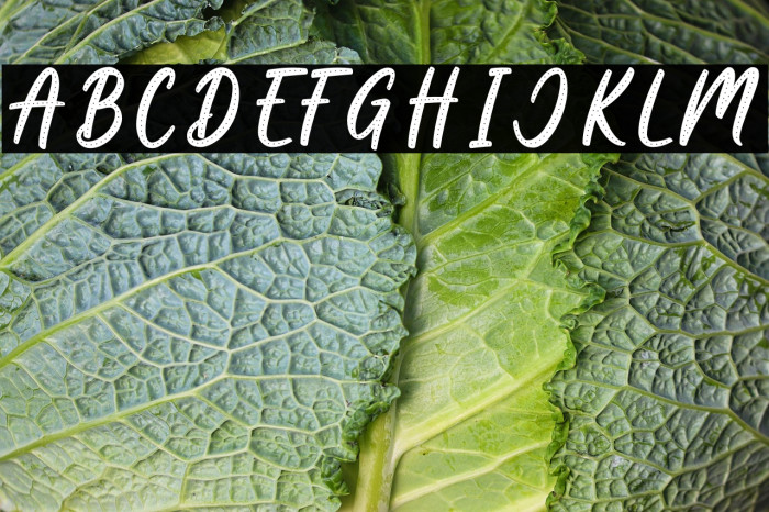 Boss Babe Dot Example 3