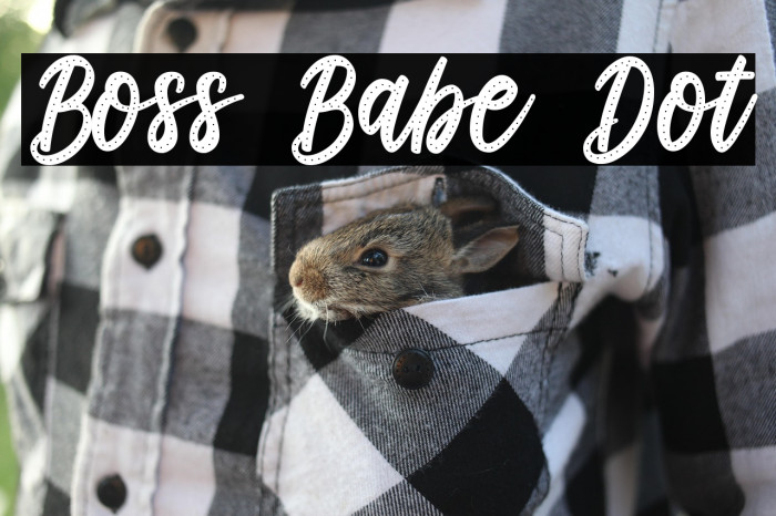 Boss Babe Dot Example 2