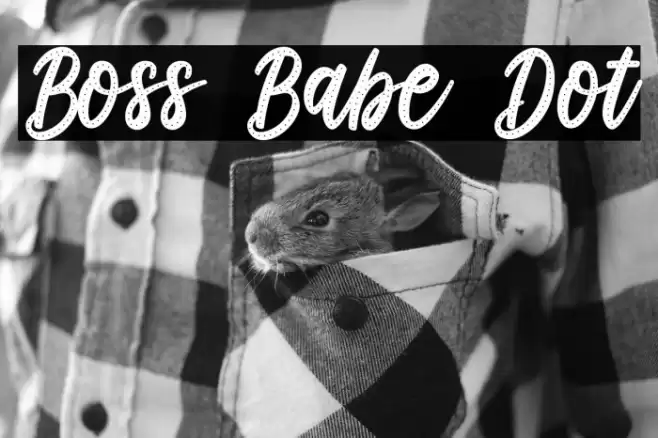 Boss Babe Dot Font examples